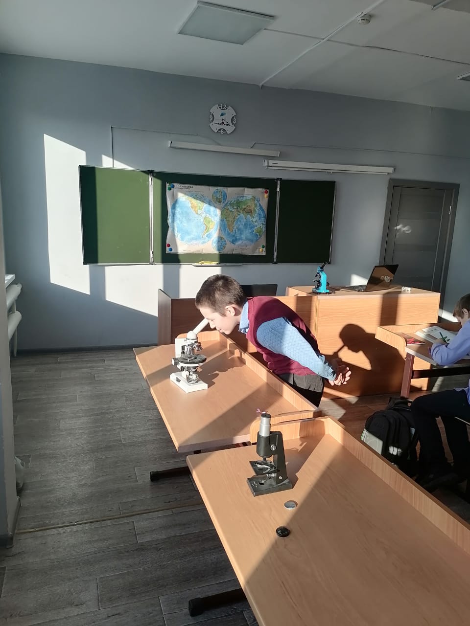 Чудо в микроскопе.